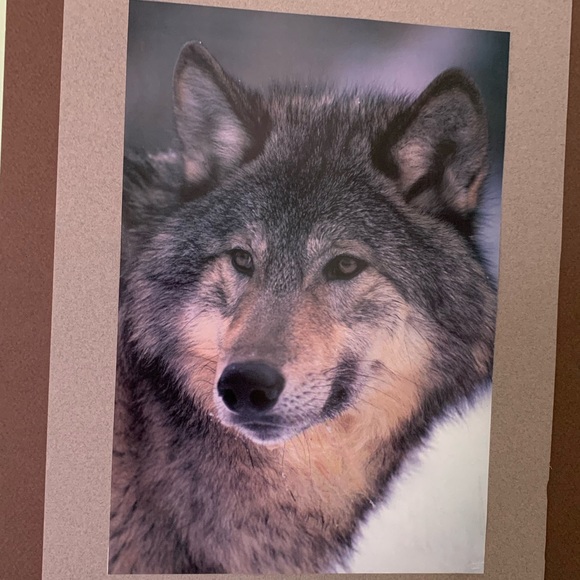 Hi, I’m Arka Deo. Thank you for stopping by. - Picture 7 of 10